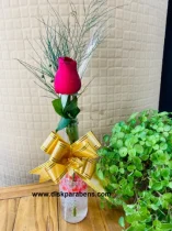 GARRAFA COM ROSA