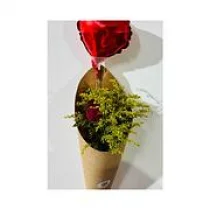 Cone de Rosas com Balo corao