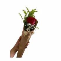 CONE DE ROSAS