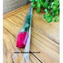 BOTO DE ROSA